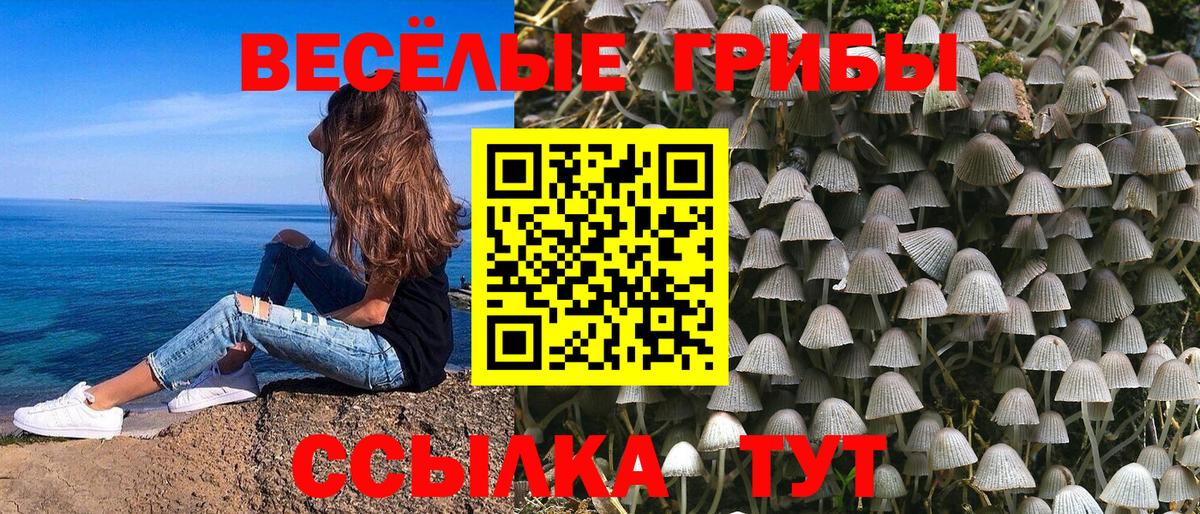 Псилоцибиновые грибы Psilocybine cubensis  наркотики  Великий Устюг  Вход с VPN 