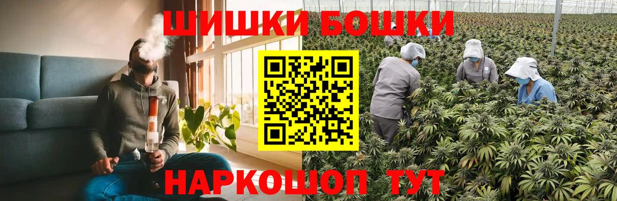 Бошки Шишки сатива Великий Устюг